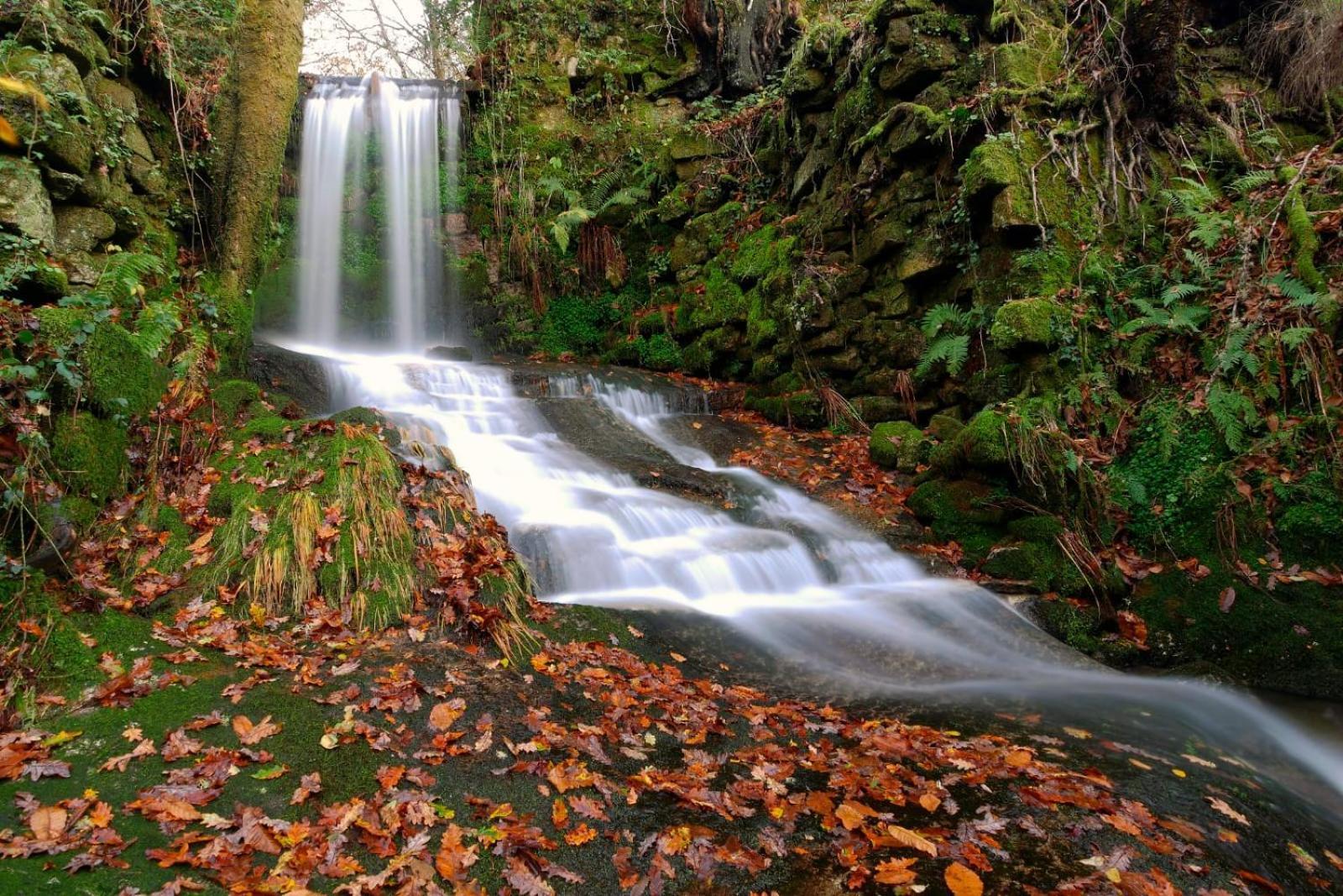 Готель A Quinta De Cea Екстер'єр фото